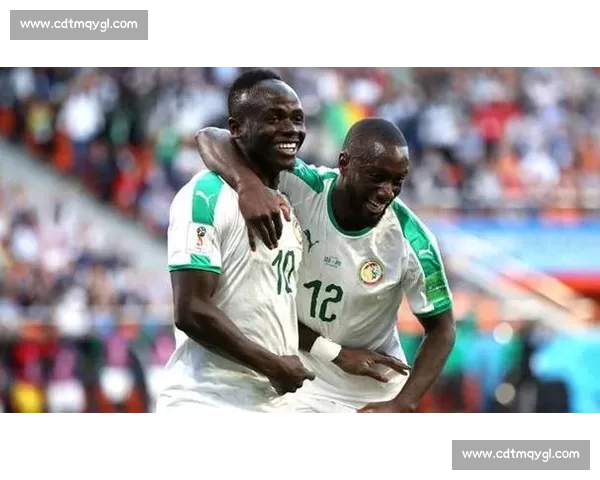 墨西哥对阵喀麦隆赛前深度预测与胜负走势全面解析关键球员表现前瞻