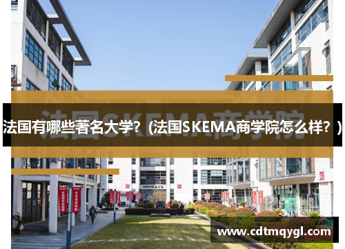 法国有哪些著名大学？(法国SKEMA商学院怎么样？)