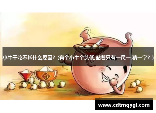 小牛干吃不长什么原因？(有个小牛个头低,站着只有一尺一,猜一字？)
