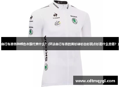 自行车赛各种颜色衣服代表什么？(环法自行车赛的黄衫绿衫白衫圆点衫是什么意思？)
